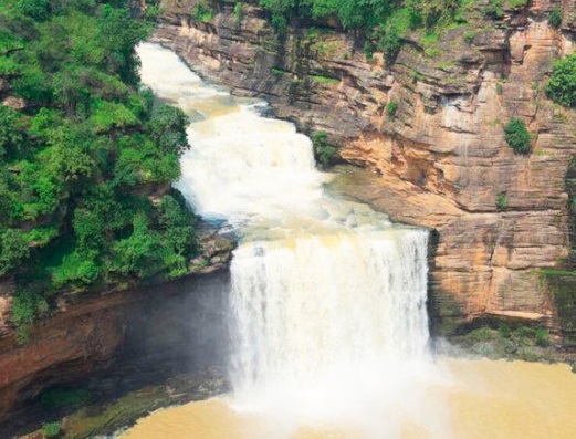 chandraprabha  Wildlife  image